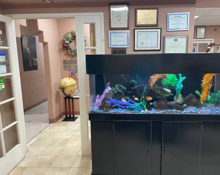 Image of Fish Tank in Office Waiting Room
