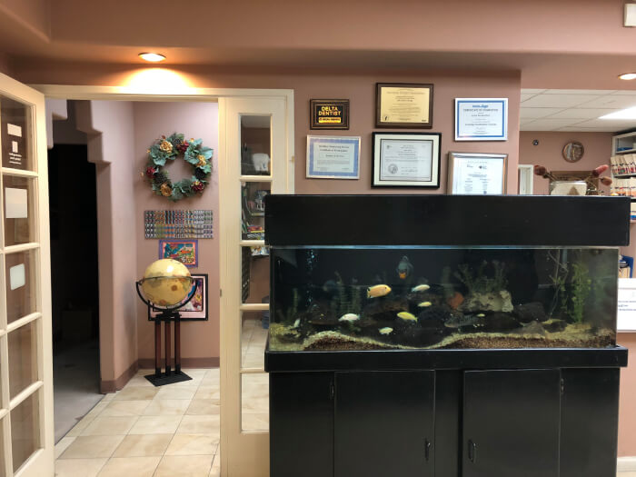 Image of Fish Tank in Office Waiting Room